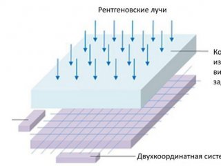 Испытан прототип сверхчувствительного детектора