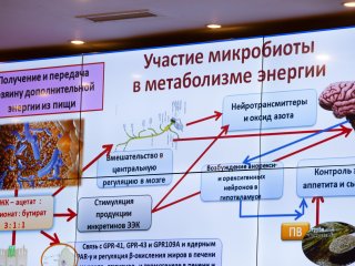 Микромир кишечника обсудили на конференции в Центре питания и биотехнологии. Фото: Ольга Мерзлякова / Научная Россия