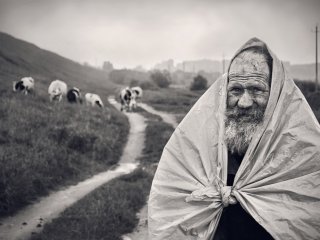 11 июня в Дарвиновском музее откроется выставка фотоконкурса «Усачи-бородачи»