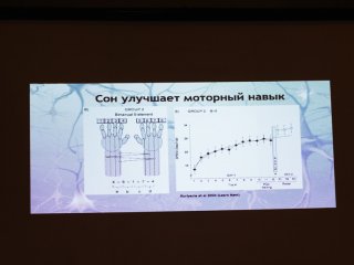 Мозг помнит всё? Беседа с нейрофизиологом О.Е.Сварник…