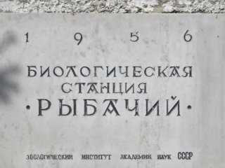 Птичьи суперспособности. Беседа с орнитологом, ч.-корром РАН Никитой Чернецовым…