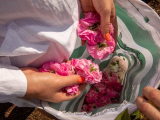 Селекционно-семеноводческий центр по эфирномасличным культурам. Фото: Николай Мохначев / Научная Россия