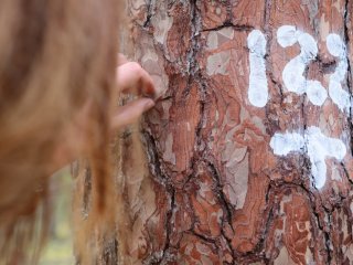 Студенческий тур «Научной России» в КарНЦ РАН. Фото: Ольга Мерзлякова / «Научная Россия»