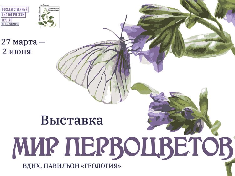 Выставка «Мир первоцветов» https://www.gbmt.ru/ru/exhibition/vystavka-mir-pervotsvetov/