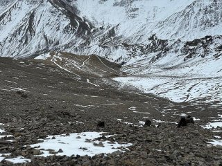 Новое восхождение на гору «Академик Фортов» состоялось в октябре 2024 г. Фото: из личного архива С.В. Фортовой