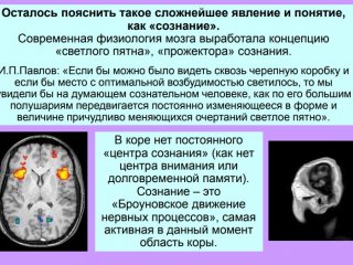 Мозг: общие принципы нейроэстетики…