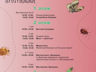 "БукашкиФест" в Биомузее…