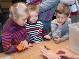 30 сентября в Дарвиновском музее состоится праздник «Всемирный день защиты животных»