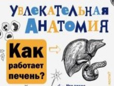 Увлекательная анатомия