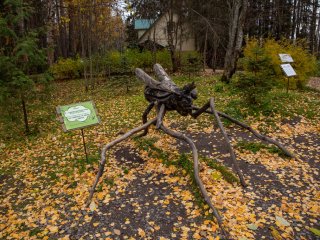 Карелия в миниатюре. Рассказываем об уникальном заповеднике «Кивач». Фото: Николай Мохначев / «Научная Россия»