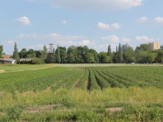 Пресс-тур «Научной России» и РАН в Тимирязевской академии. Фото: Ольга Мерзлякова / «Научная Россия»