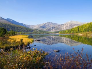 Гибель грозит 90% уникальных растений Горного Алтая. Фото: rawpixel.com / фотобанк Freepik 