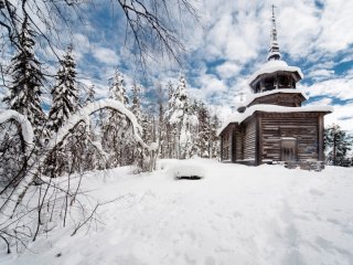 29 ноября в Дарвиновском музее состоится…