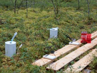 Студенческий тур «Научной России» в КарНЦ РАН. Фото: Ольга Мерзлякова / «Научная Россия»