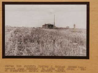 "Генетика — это мост между науками". "В мире науки" №8-9, 2020. Фото: Николай Мохначев / Научная Россия