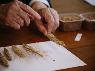 Фото: Ольга Мерзлякова / «Научная Россия»