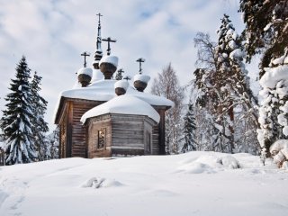 29 ноября в Дарвиновском музее состоится…