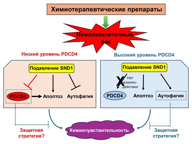 Резюме исследования. Источник Борис Животовский