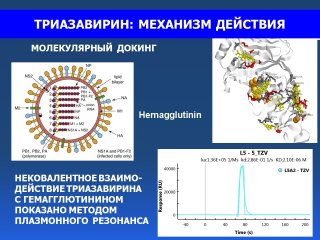 Заседание президиума РАН. Прямая трансляция!…