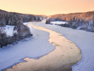 Река в Коми. Источник: Vladimir Fedotov on Unsplash