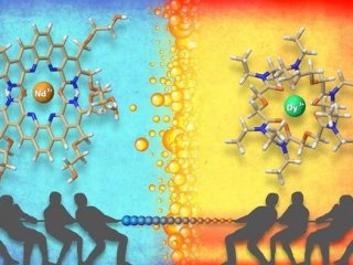 Водорастворимые и маслорастворимые органические молекулы эффективно разделяют различные элементы в лантаноидном ряду периодической системы