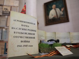 Фото: Ольга Мерзлякова / «Научная Россия»