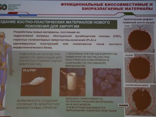 Торжественное заседание РАН, Росатома и Курчатовского института в Доме ученых им. ак. А.П. Александрова. Фото: Анастасия Жукова / «Научная Россия»