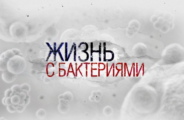 Участие фильма «Жизнь с бактериями» в конференции INPUT в Нью-Йорке