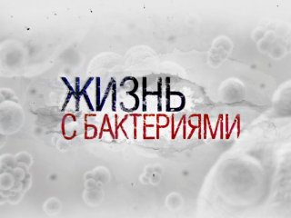 Участие фильма «Жизнь с бактериями» в конференции INPUT в Нью-Йорке