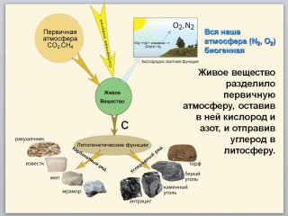 Что такое ноосфера