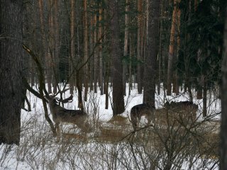 От водородной энергетики к водородной экономике…