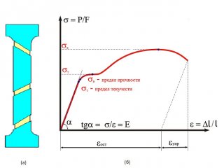 Рисунки СарафановГФ