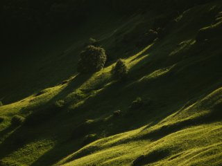 2 МЕСТО: Плюснина Ольга – «Акварельный ветер». Номинация «Nature aesthetic». Премьер лига