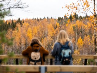 Царство мрамора. Ученые КарНЦ РАН ─ о единственном в России парке горного дела «Рускеала». Фото: Николай Мохначев / «Научная Россия»