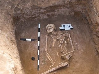 Воины-всадники ямной культуры дали свою ДНК европейцам