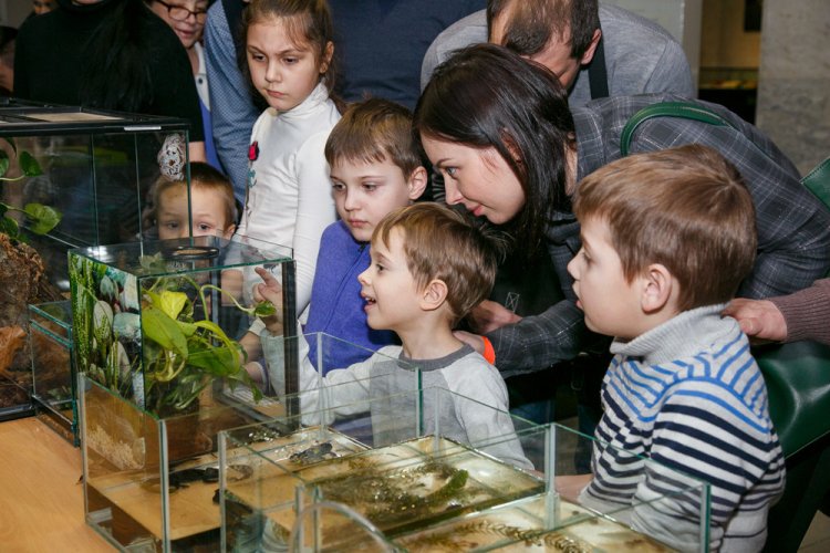 Всемирный день воды в Дарвиновском музее