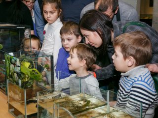 Всемирный день воды в Дарвиновском музее