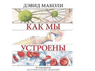 Как мы устроены. Путеводитель по человеческому организму