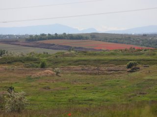 Планы, которым суждено сбыться