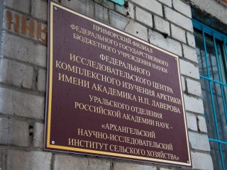 В Архангельском НИИ сельского хозяйства. Фото: Елена Либрик / «Научная Россия»