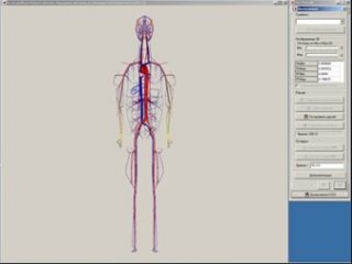 Программный комплекс CVSS (CardioVascular Simulating System). Источник - пресс-служба МГУ