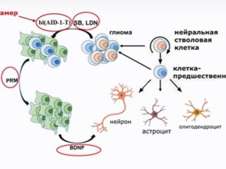 Источник: скриншот записи Президиума РАН от 5 декабря 2023 г.