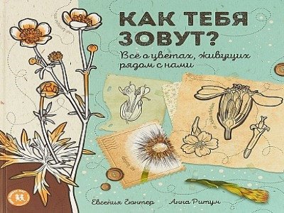 Как тебя зовут? Всё о цветах, живущих рядом с нами