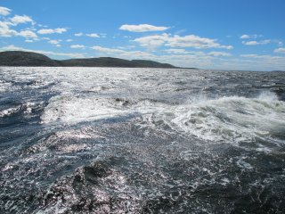 Белое море. Фото: А.В. Толстиков, КарНЦ РАН.