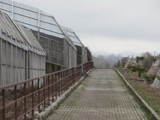 Ученые РАН впервые в мире провели перфузию головного мозга химиопрепаратами…