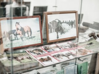 В Архангельском НИИ сельского хозяйства. Фото: Елена Либрик / «Научная Россия»