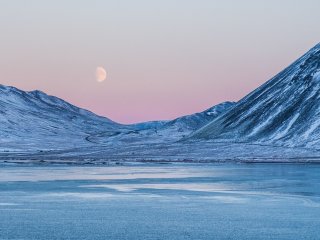 Арктика. Автор фото: Daiwei Lu / Unsplash