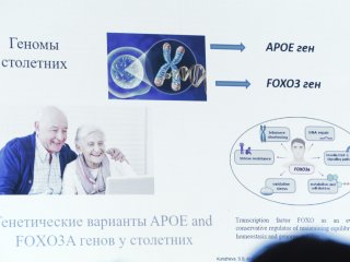 Научный совет РАН «Науки о жизни», посвященный теме: «Фундаментальные основы геронтологии и гериатрии». Фото: Ольга Мерзлякова / «Научная Россия»