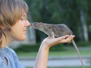 Р.В. Кожемякина. Автор фото: Наталья Покровская / https://openscience.news