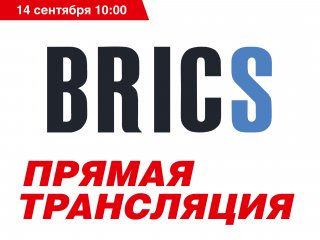 Конференция «Региональное сотрудничество БРИКС»: пленарное заседание